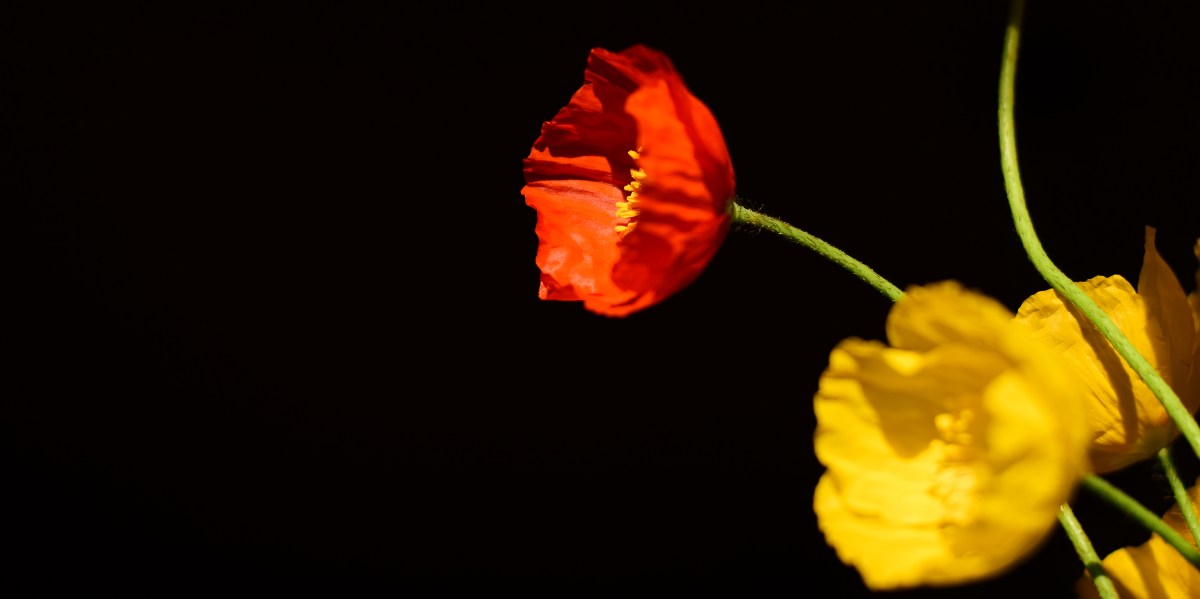 « Nos corps sont à nous », qu’est-ce que ça veut dire&nbsp;?